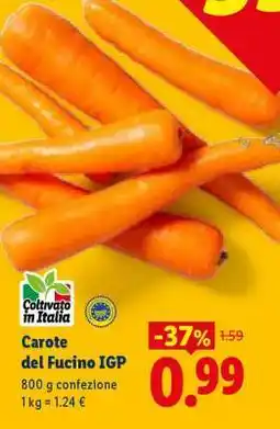 Lidl Carote del Fucino IGP offerta
