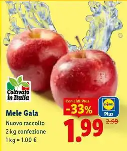 Lidl Mele Gala offerta