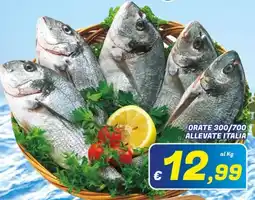 Idromarket Orate 300/700 allevate Italia offerta