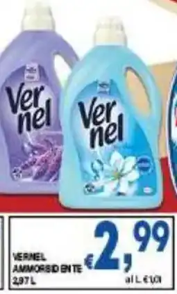 DEM Vernel ammorbidente offerta