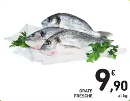 Spazio Conad Orate fresche offerta
