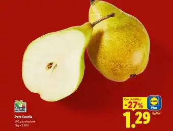 Pere Coscia
