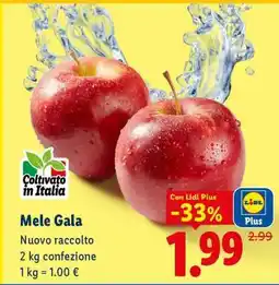 Lidl Mele Gala offerta