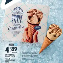 Deco Superfreddo Sammontana Cinque Stelle Croccantino offerta