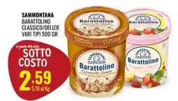 Gecop Sammontana Barattolino offerta