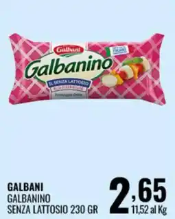 Gecop Galbanino senza lattosio offerta