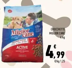 Conad City Crocchette Miglior Cane Active offerta