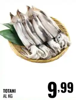 Gecop Totani offerta