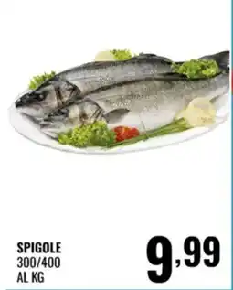 Gecop Spigole offerta