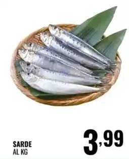 Gecop Sarde offerta