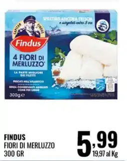 Gecop Findus Fiori di merluzzo offerta