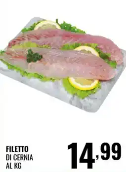 Gecop Filetto di cernia offerta