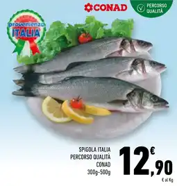 Conad Superstore Spigola Italia Percorso Qualità Conad offerta