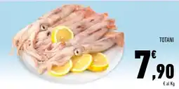 Conad Superstore Totani offerta