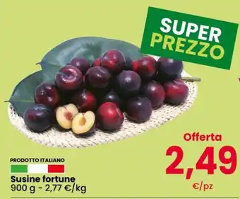 Susine fortune