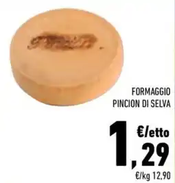Conad City Formaggio Pincion di Selva offerta