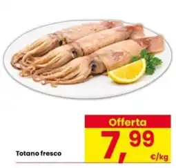 Interspar Totano fresco offerta