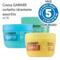 IperFamila Crema GARNIER sorbetto idrantante assortito offerta