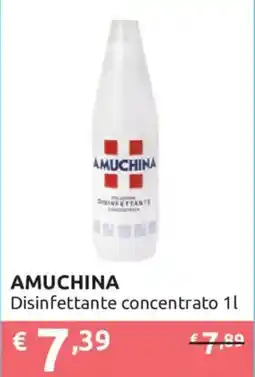 Ipersoap Amuchina Disinfettante concentrato offerta