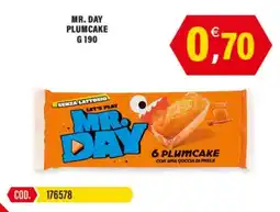 Adhoc Mr. Day plumcake senza lattosio offerta