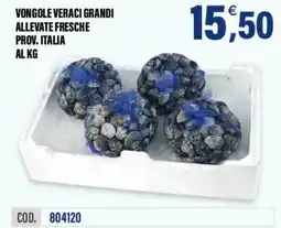 Adhoc Vongole veraci grandi offerta