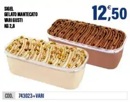Adhoc Sigel gelato mantecato vari gusti offerta