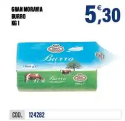 Adhoc Gran Moravia Burro offerta