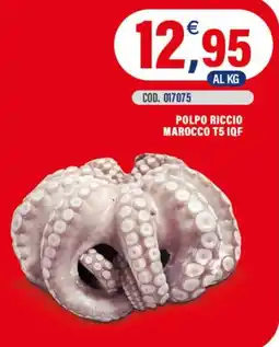 Adhoc Polpo riccio Marocco T5 IQF offerta