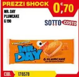 Adhoc Mr. Day plumcake offerta
