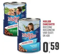 Maxipiù Miglior gatto bocconcini con pesce offerta