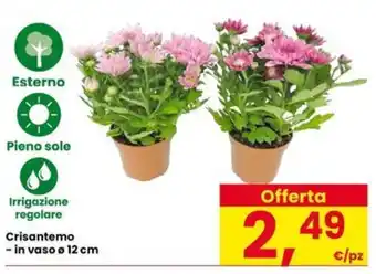 Eurospar Crisantemo offerta