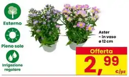 Eurospar Aster offerta