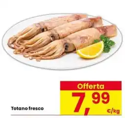 Eurospar Totano fresco offerta