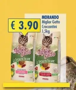 Magika Shop Miglior gatto Croccantini offerta