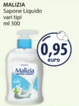 Acqua & Sapone Malizia Sapone Liquido offerta