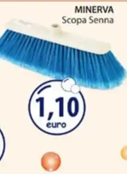 Acqua & Sapone Scopa Senna Minerva offerta