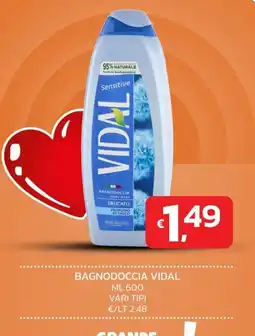 Ok Market Bagnodoccia Vidal offerta