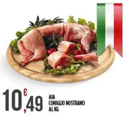 Euroesse Aia coniglio nostrano offerta