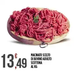 Euroesse Macinato scelto di bovino adulto scottona offerta