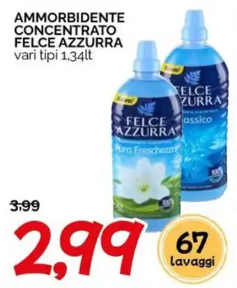 Ammorbidente concentrato Felce Azzurra