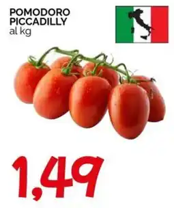 Hardis Pomodoro Piccadilly offerta