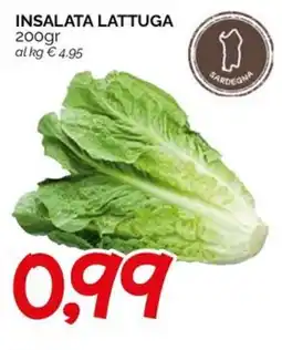 Hardis Insalata lattuga offerta
