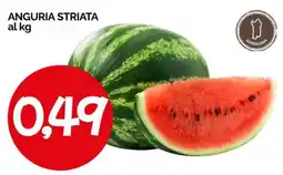 Hardis Anguria striata offerta