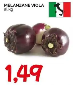 Hardis Melanzane viola offerta