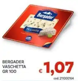Vivo Supermercati Bergader vaschetta piccante offerta