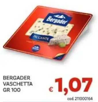 Vivo Supermercati Bergader vaschetta piccante offerta