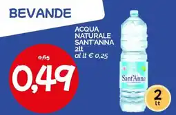 Hardis Acqua naturale Sant'Anna offerta