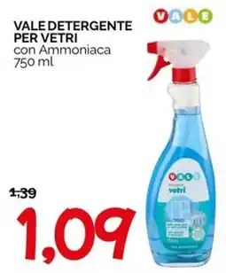 Hardis Vale detergente per vetri offerta