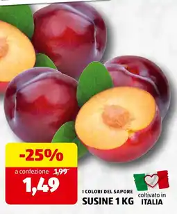 ALDI I colori del sapore susine offerta