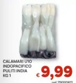 Vivo Supermercati Calamari U10 offerta